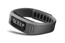 фото Garmin vivofit slate