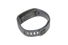 фото Garmin vivofit slate bundle