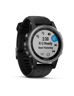 фото Garmin FENIX 5 PLUS серебристые с черным ремешком