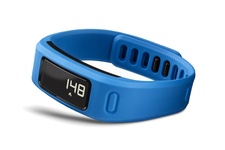 фото Garmin vivofit blue