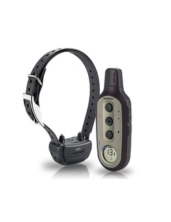 фото Ошейник для дрессировки Garmin Delta